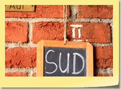 Sud 60
