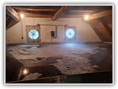 Der fertige Sud im Kühlschiff. Die nächsten Tage wird dann Bier daraus