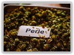 Eine Kiste von unserem Perle Hopfen
