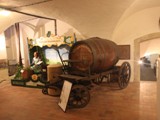 Hopfen