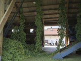 Blick von der Seite