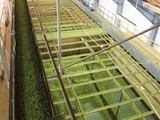 und wird auf ca. 10% der Feuchtigkeit getrocknet