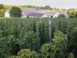Blick von oben