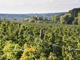 Blick zur Ortschaft