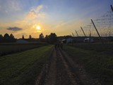 in den Sonnenuntergang