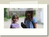 Lisa hat einen Vogel (Dohle) und die Kinder viel Freude damit