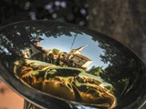 Fest Nachmittag: Spiegelungen
