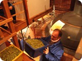 Später Nachmittag: Heinz holt den Hopfen