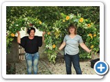 Erster Funktionstest bestanden