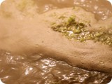 Malzwasser & Hopfen