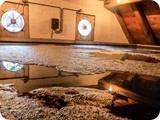 Das Bockbier in der Abkühlpfanne